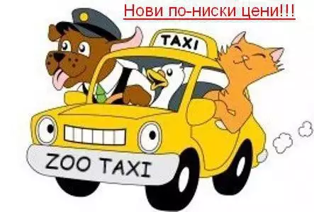 Транспорт на домашни любимци - Zootaxi