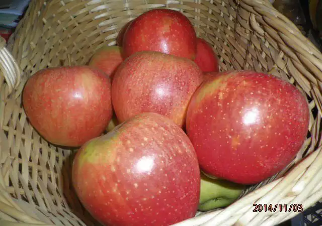 2. Снимка на ябълки от производител