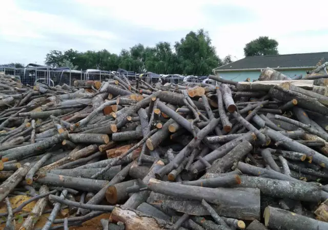Дърва за огрев и дървен материал