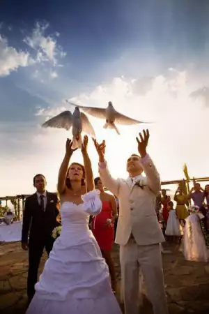 1. Снимка на Бели гълъби за сватби и тървества