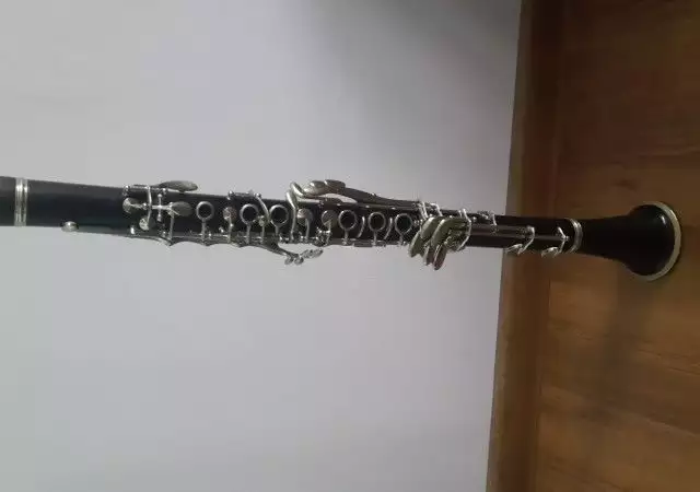 1. Снимка на klarinet palen biom