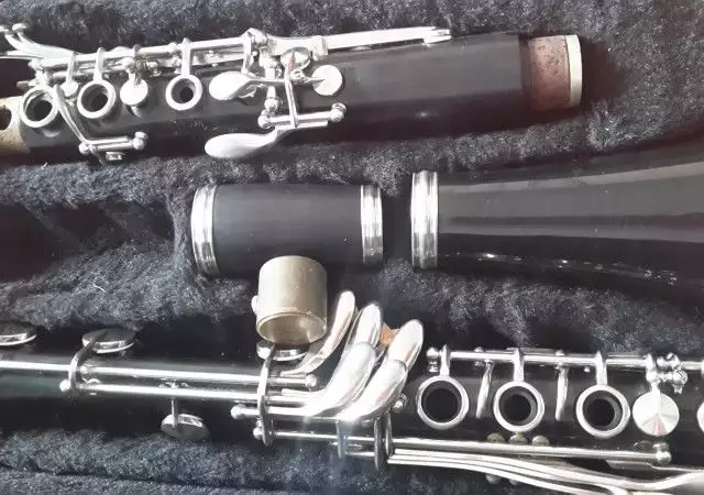klarinet palen biom