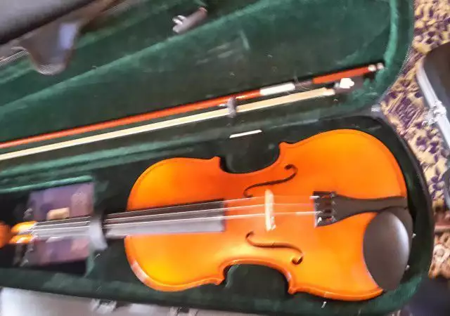 1. Снимка на цигулка с куфар - 220 лв