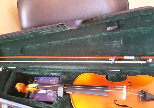 2. Снимка на цигулка с куфар - 220 лв