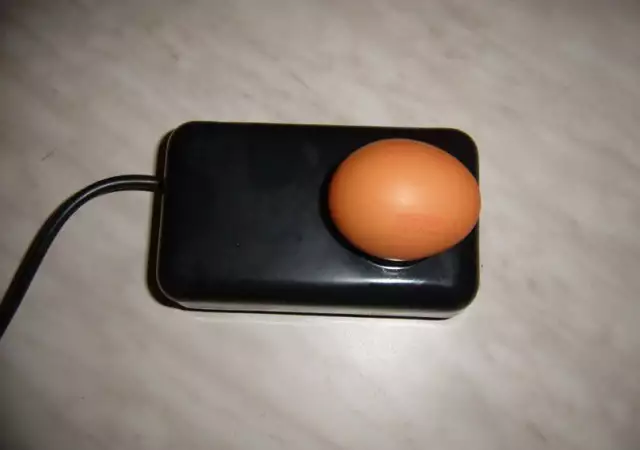 4. Снимка на Овоскоп За Проверка На Яйца
