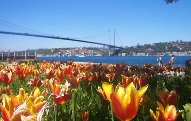 Екскурзия в Истанбул - Фестивала на Лалетата
