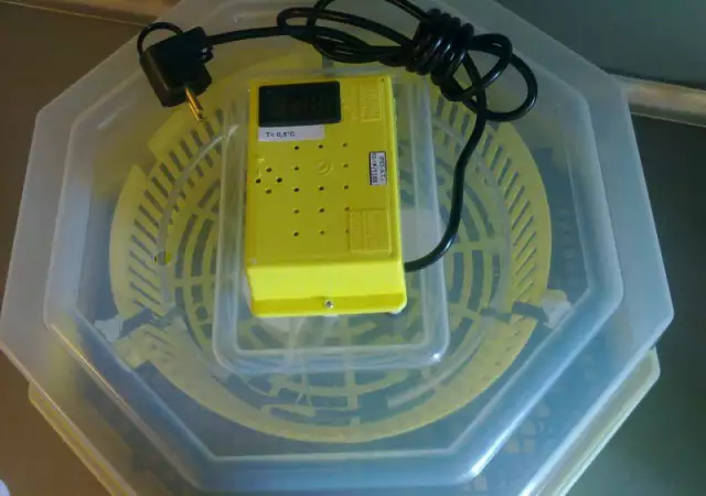 2. Снимка на Директен вносител на Клео 5, инкубатор с термометър.