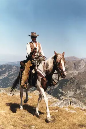 2. Снимка на Уестърн седло за езда