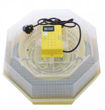 1. Снимка на инкубатор с термометър - 99 лв