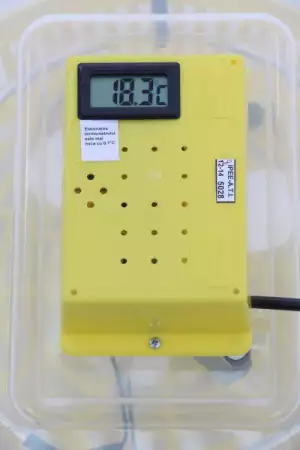 6. Снимка на инкубатор с термометър - 99 лв