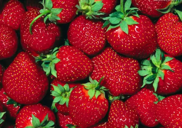 1. Снимка на ЗЕМЕДЕЛСКИ ПРОИЗВОДИТЕЛ - продава български сортове ягоди 2015