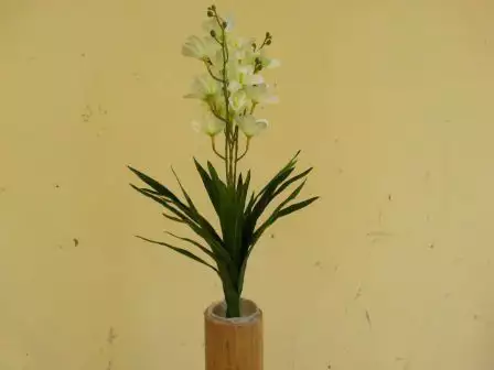 1. Снимка на Бяла Орхидея 60см