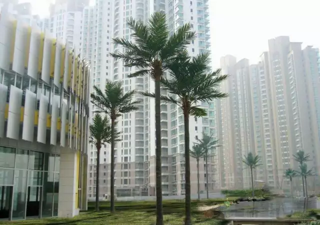 1. Снимка на Кoкoсова палма с изкуствено стъбло.