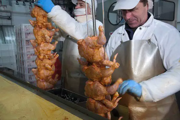 Предлагам работа в завод за преработка на пилета в чехия. .