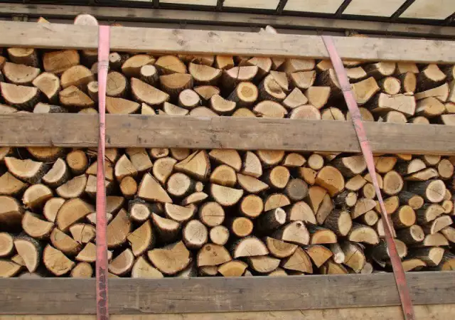 1. Снимка на Купува дърва за огрев на едро ЦЕЛОГОДИШНО