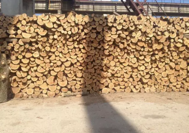 дърва за огрев