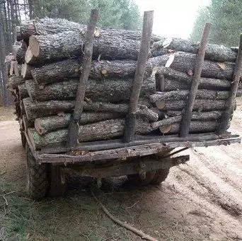 1. Снимка на Купувам дърва за огрев целогодишно
