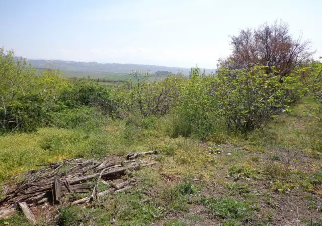 4. Снимка на Панорамен парцел с плодни дръвчета в с. Джигурово