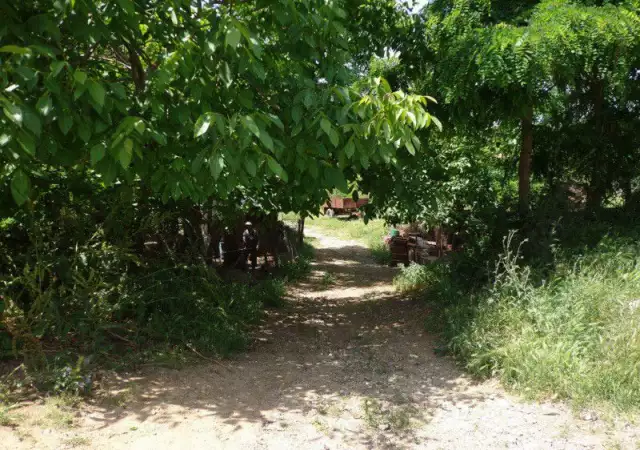 6. Снимка на Парцел за къща в село Хотово, на 12 км от Сандански