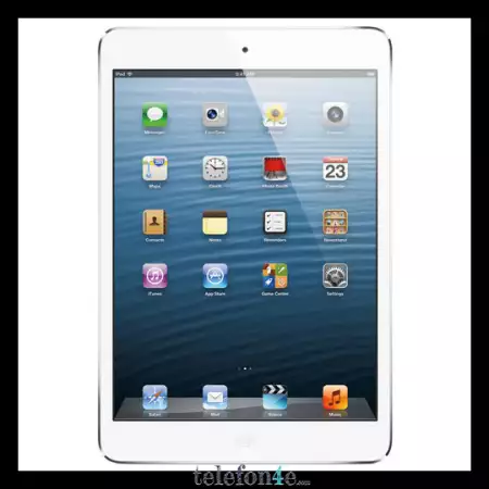 Apple iPad mini Wi - Fi 16GB