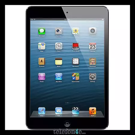 Apple iPad mini Wi - Fi 16GB