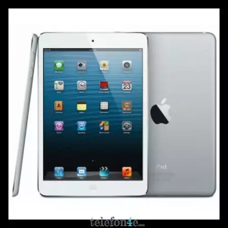 Apple iPad mini Wi - Fi 16GB