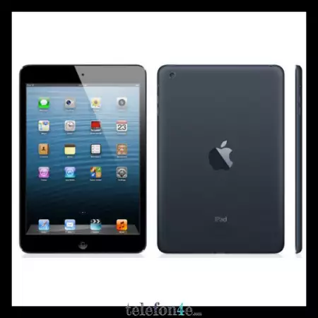 Apple iPad mini Wi - Fi 16GB