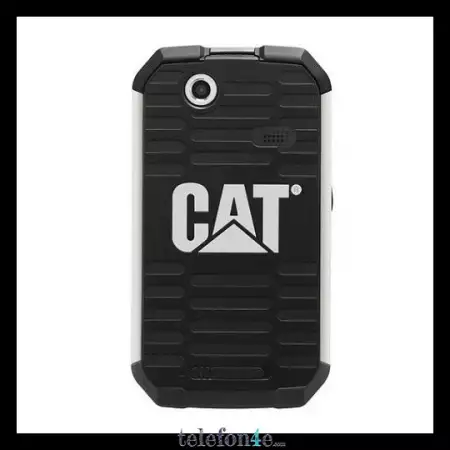 CAT B15 cat