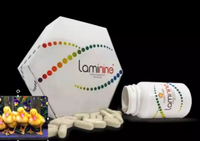 Здраве и кариера чрез хранителната добавка Ламинине