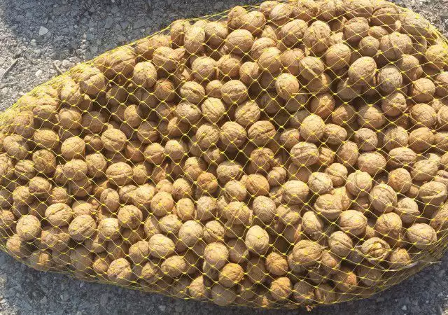 2. Снимка на орехи на черупка
