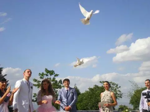 2. Снимка на Бели гълъби за сватби, абитуриентски балове и тържества