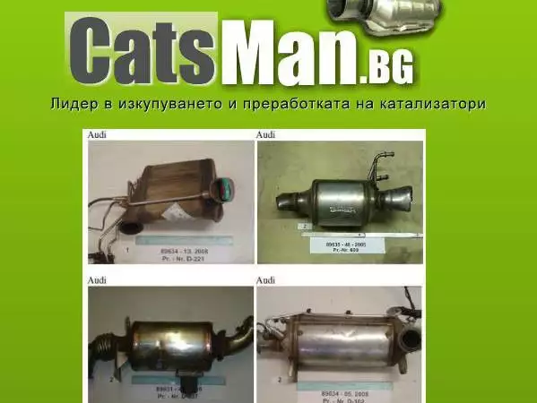 1. Снимка на Изкупуване на катализатори от CatsMan
