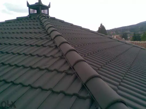 2. Снимка на Ремонт на покриви и други