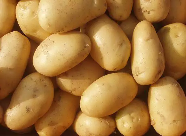3. Снимка на Продавам картофи за консумация