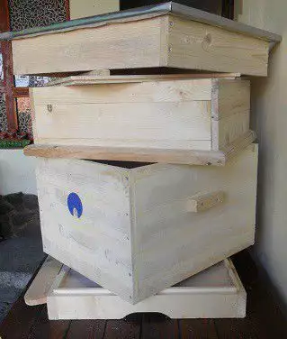 5. Снимка на Кошери за пчели - дадан блат