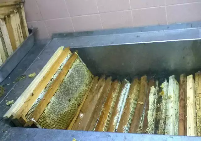 1. Снимка на чист пчелен мед