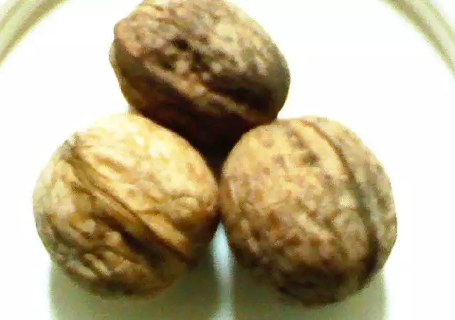 1. Снимка на Продавам на дребно еко градински орехи с черупка 3 - 4 - 5см.