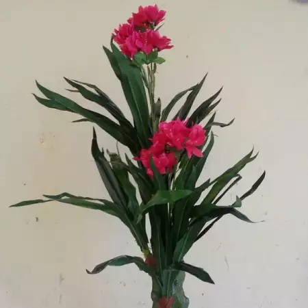 4. Снимка на ПалмиБг изкуствени цветя