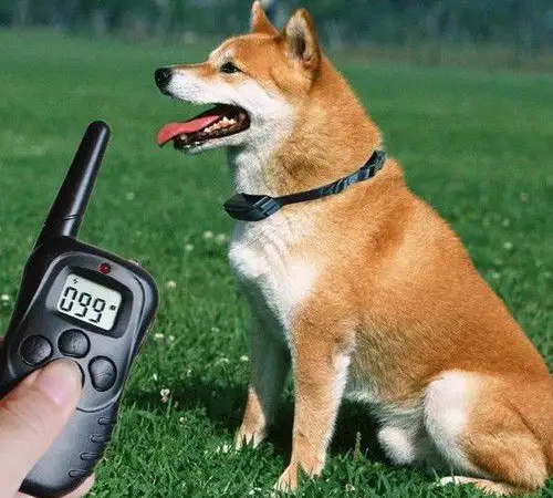 Електронен нашийник за дресура на кучета водоустойчив
