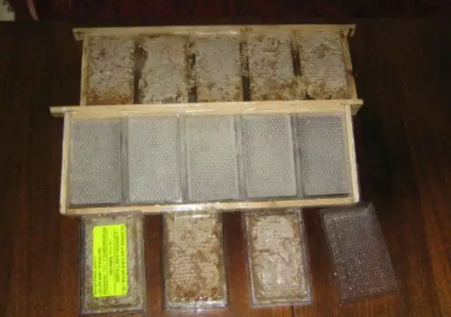 1. Снимка на пчелни пластмасови основи Бипакс