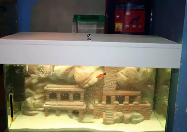 1. Снимка на Изработвам уникални аквариуми и терариуми с 3D фон
