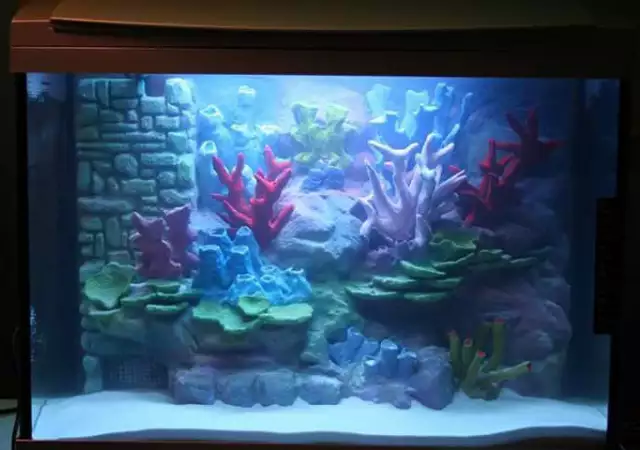 3. Снимка на Изработвам уникални аквариуми и терариуми с 3D фон