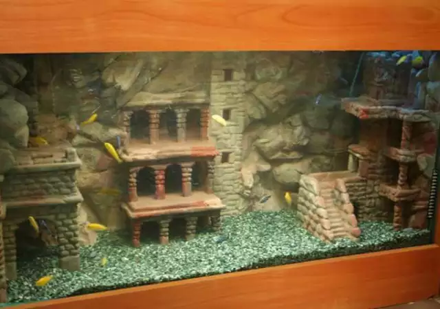 4. Снимка на Изработвам уникални аквариуми и терариуми с 3D фон