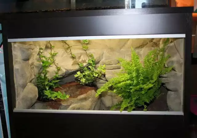 5. Снимка на Изработвам уникални аквариуми и терариуми с 3D фон