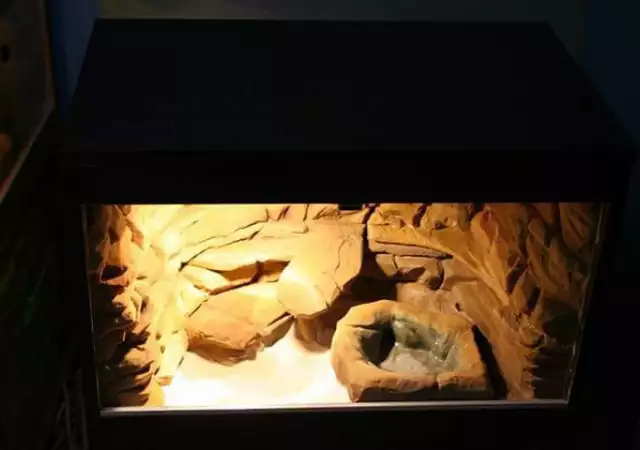 7. Снимка на Изработвам уникални аквариуми и терариуми с 3D фон