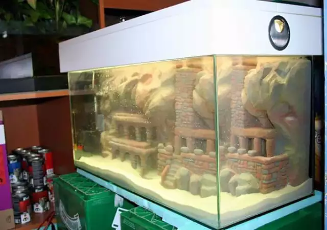 10. Снимка на Изработвам уникални аквариуми и терариуми с 3D фон
