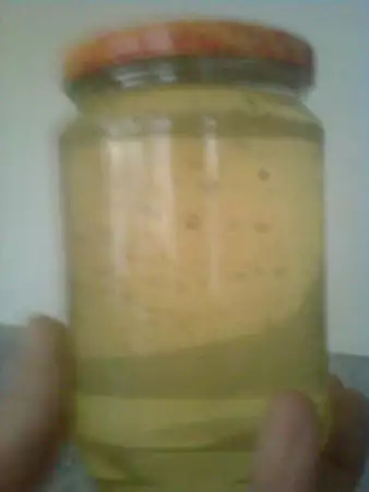 1. Снимка на Акациев мед на едро