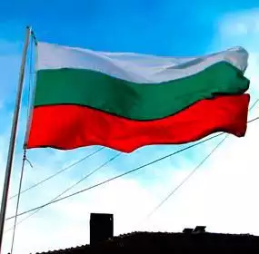 1. Снимка на Български знамена