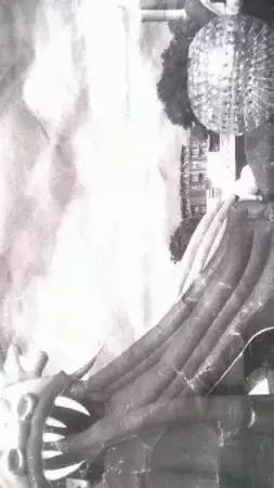 2. Снимка на Надуваем батут на водна основа - Дракон