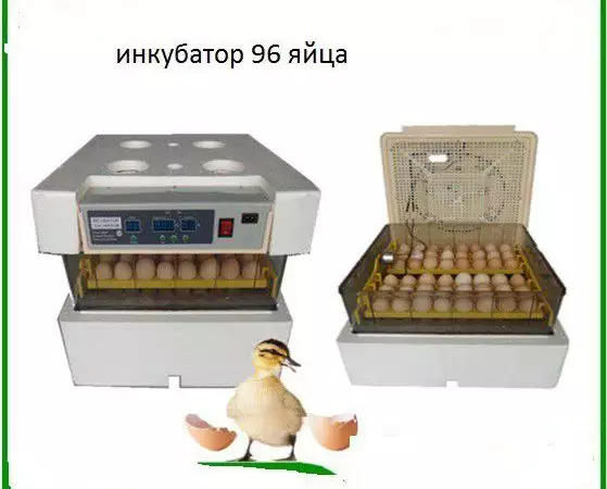 Автоматични инкубатори за птичи яйца Dulong
